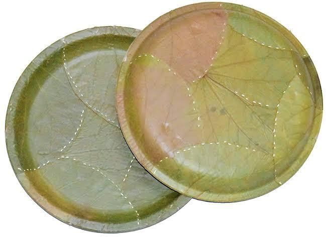 Two overlapping leaf plates showing natural texture